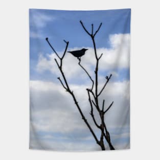 Silhouetted Bird Tapestry