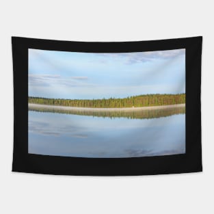 Summer lake scape at morning Tapestry