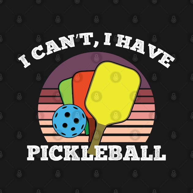 I cant i have Pickleball Paddle Funny Pickle Ball Joke by Riffize