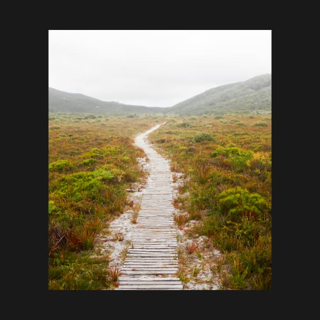 Into the Fog, Wilsons Promontory by ajdesignsau