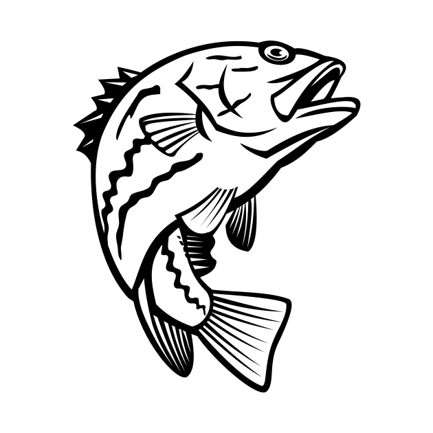 West Australian Dhufish Glaucosoma Hebraicum Westralian Jewfish or West Australian Pearl Perch Jumping Mascot Black and White by patrimonio