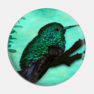 Coloured Hummingbird Pin