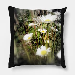 daisies 3 Pillow