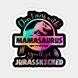 Don't mess With Mamasaurus You'll Get Jurasskicked Funny Magnet