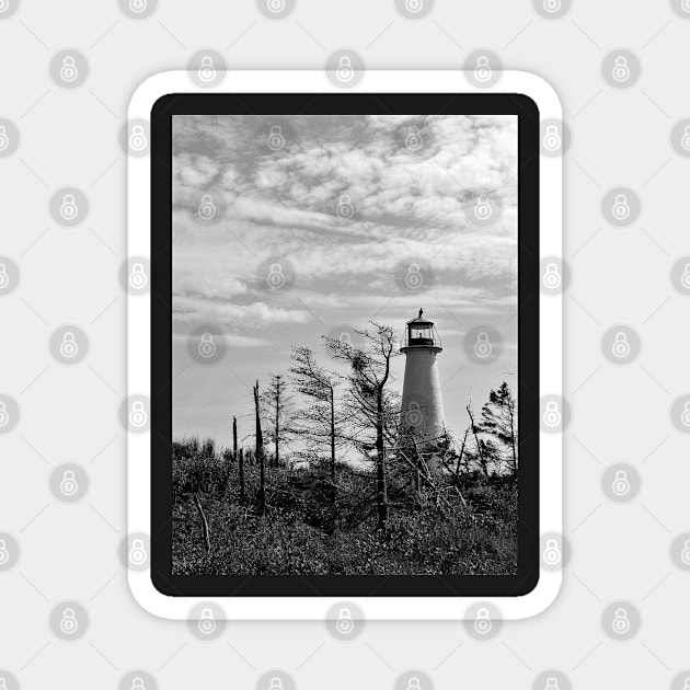 Point Prim Lighthouse , PEI Magnet by rconyard