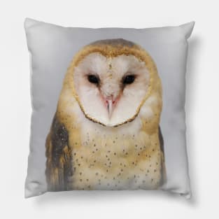 Portrait of a Sweet Barn Owl Named Sara Pillow