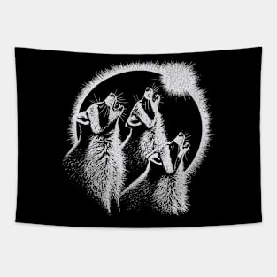 Raccoon Eclipse Tapestry