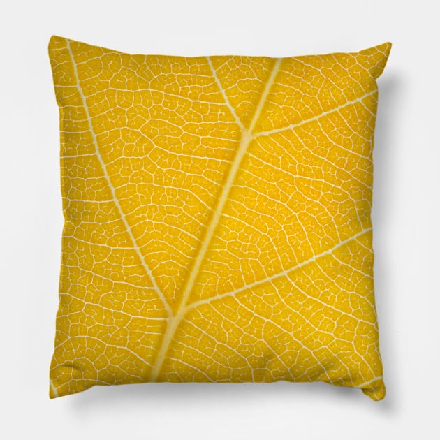 Autumn Leaf Pillow by philippemx