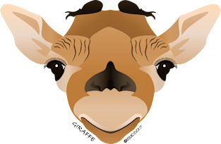 Baby Giraffe Face Magnet