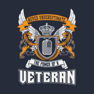 Never Underestimate The Power Of A Veteran T-Shirt