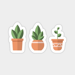 Succulent trio Magnet