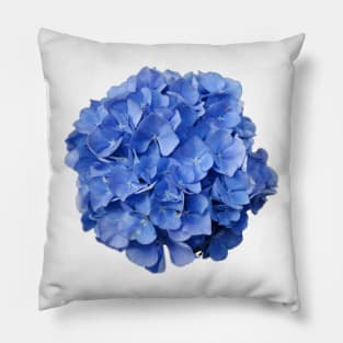 Blue hydrangea Pillow