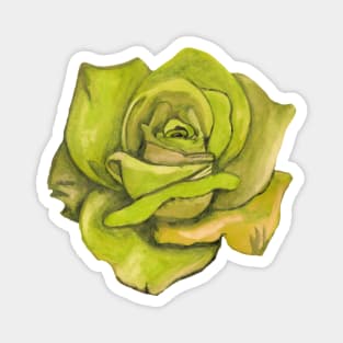 Yellow rose flower Magnet