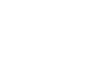 Aussie Training Aussie Dog Tricks Magnet