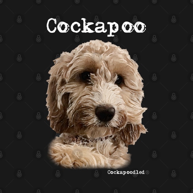 Golden Apricot Cockapoo / Spoodle and Doodle Dog by WoofnDoodle 