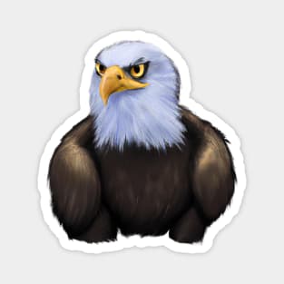 Cute Bald Eagle Drawing Magnet