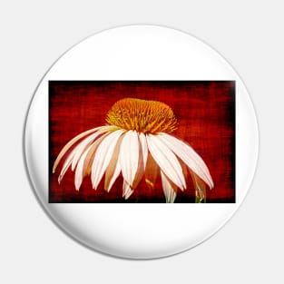 A Single Daisy On A Red Background Pin