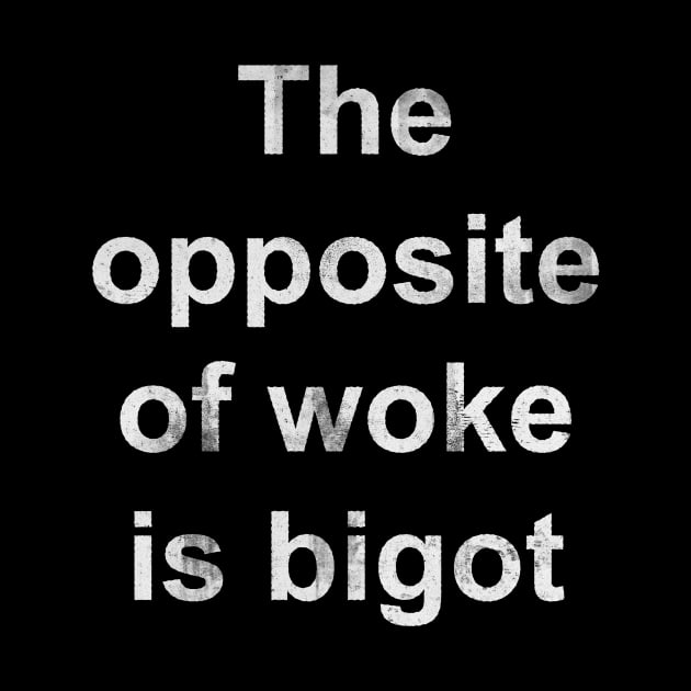 The Opposite of Woke Is Bigot by n23tees