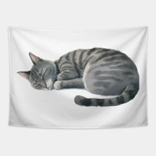 Sleeping Cat Tapestry