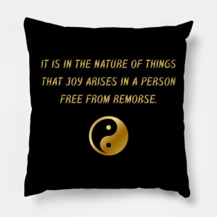 It Is In The Nature Of Things That Joy Arises In A Person Free From Remorse. Pillow