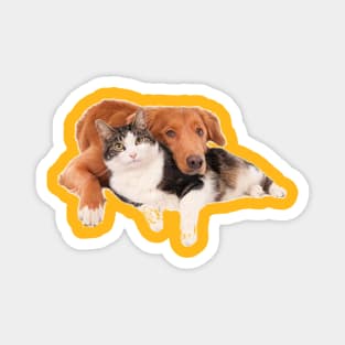 Dog & Cat Magnet