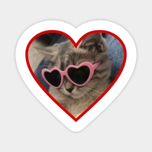 cat wearing pink heart sunglasses Magnet