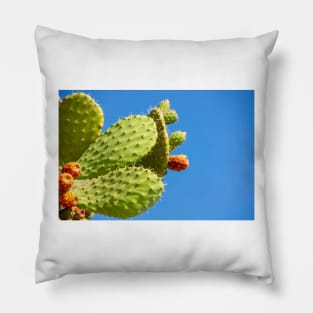 Cactus. Pillow