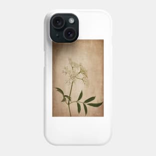 Wild Elderberry Flowers Phone Case