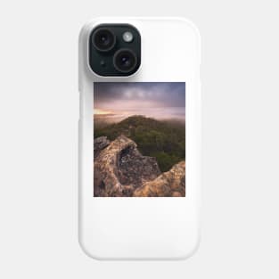 Foggy View Phone Case