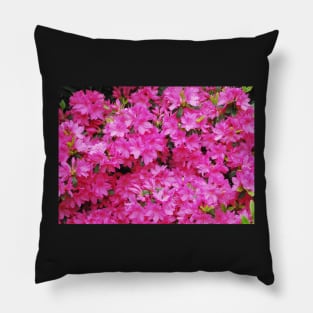 Pink Azalea Flowers Pillow