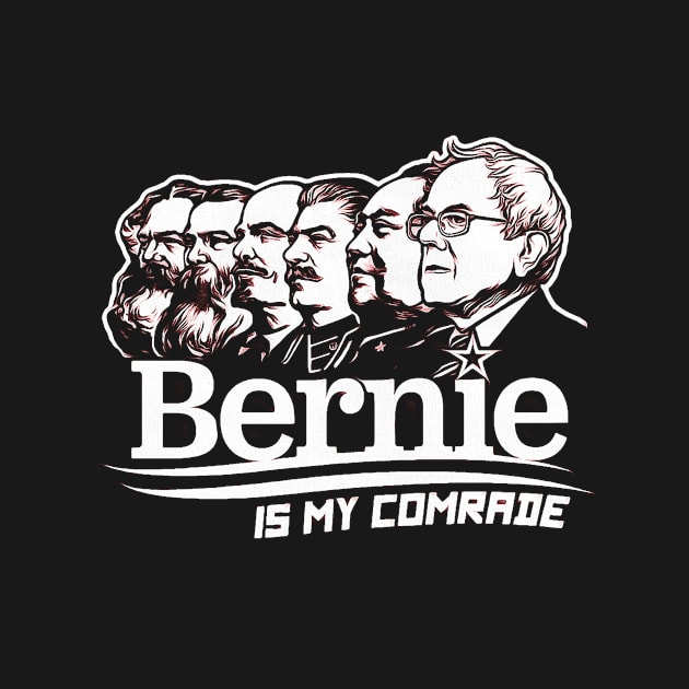 ie sanders socialist by amy736