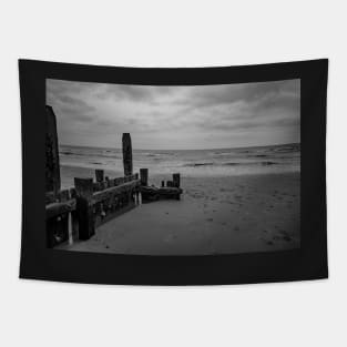 Wooden sea defences to protect against coastal erosion Tapestry