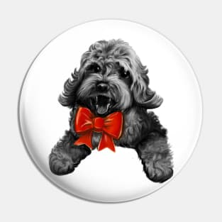 Cute Cavapoo Cavoodle puppy dog with red bow  - Monochrome cavalier king charles spaniel poodle, puppy love Pin