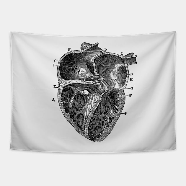 Inner Heart Diagram - Vintage Anatomy Tapestry by Vintage Anatomy Prints