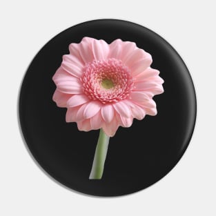 Fresh, single gerbera Pin