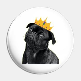 Black Dog with Crown Pin