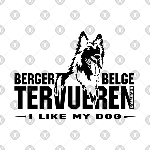 Berger Belge Tervueren