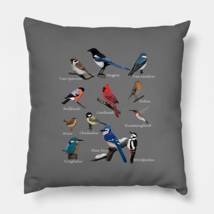 Garden Birds Cardinal Blue Jay Hummingbird Robin Wren Finch Pillow