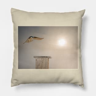 Flyover Pillow