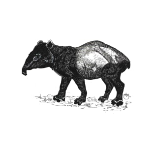 Nosey Tapir sniffing around T-Shirt