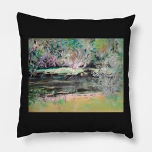 Spring time on the Churn Creek Pillow