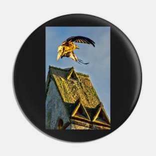 Red Kite Rising Pin