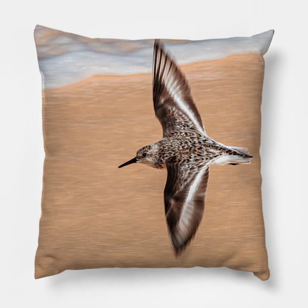 knot flying over the seashore Pillow by Jevaz