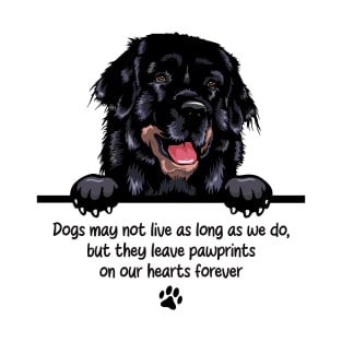 Dogs may not live as long as we do, but they leave pawprints  on our hearts forever T-Shirt