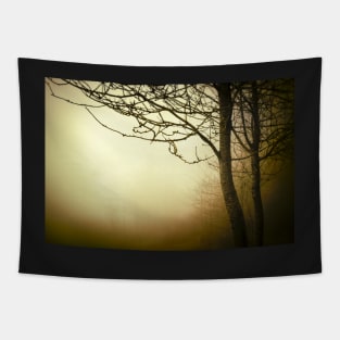 Warm golden fog with trees Tapestry