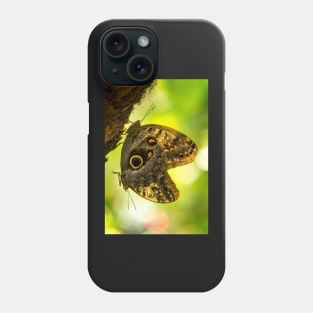 Twin Butterflies on a Tree Phone Case