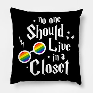 No one should live in a closet Pillow