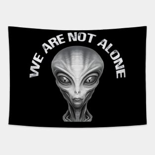 We are not alone. Aliens exist and they are with us. Tapestry