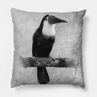 Toucan Pillow