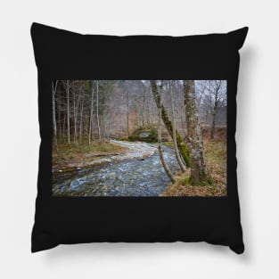 River flowing through mountain Pillow